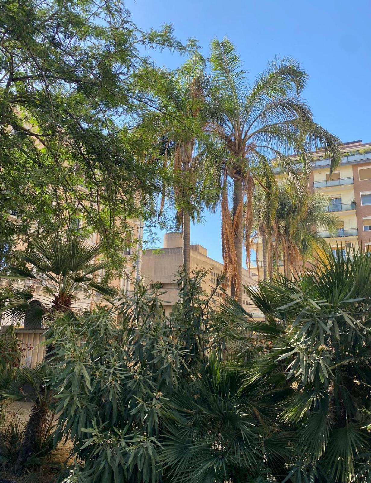 Maison Ruggero Aeroporto di Catania Fontana Rossa Esterno foto